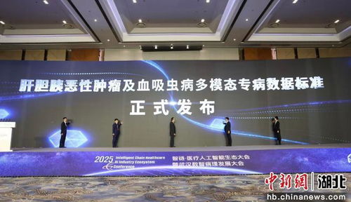 2025智鏈醫療人工智能生態大會啟幕，智能技術驅動醫療健康新未來